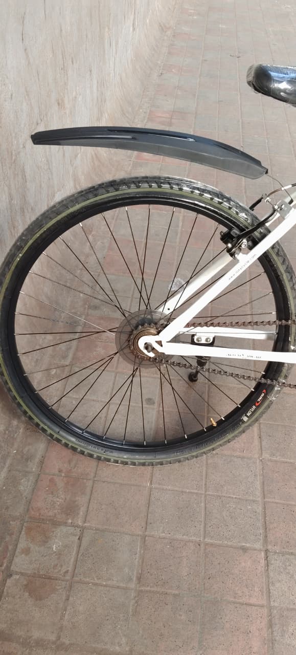 roxy cycle 21 gear 26 inch 5500