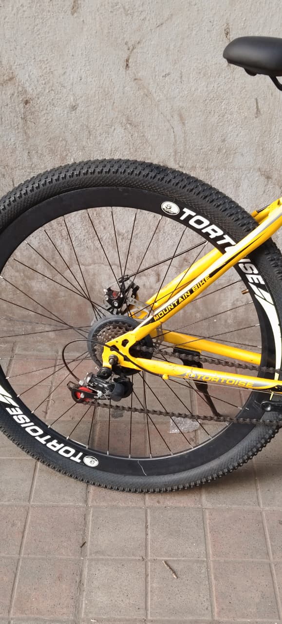tortoise cycle 21 gear 29 inch