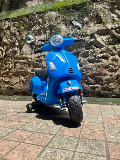 Vespa 12v 24v remote foot accelerator 2 to 7 year