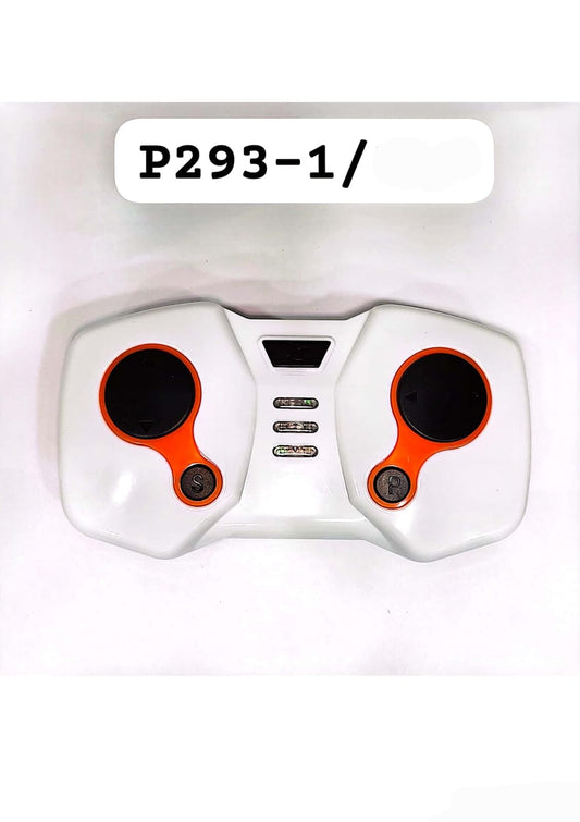 P293-1/
