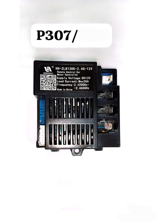 P307/ MOTHER BORD