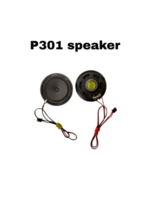 P301 speaker