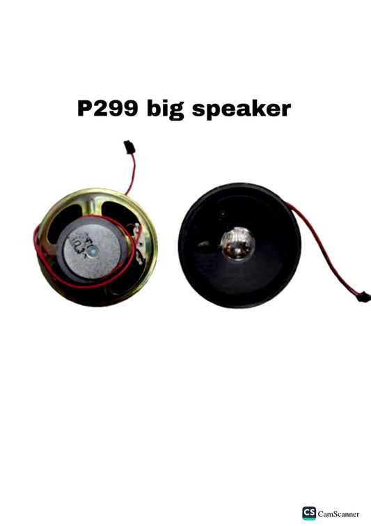 P299 big speaker