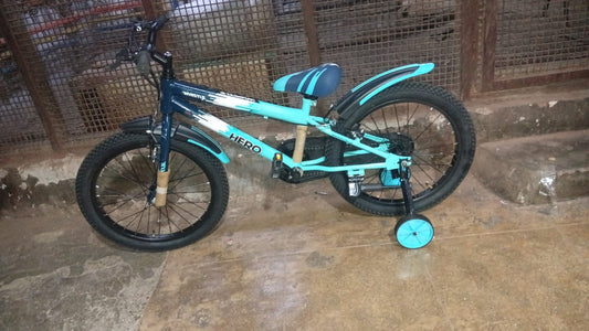 Hero 20 inch blue mix colour 