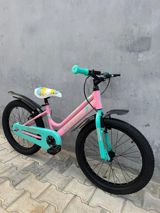 20t denvok cycle imported tyre with tyre and tube cycle