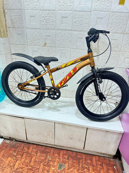 fives red bird 20 inch colour golden