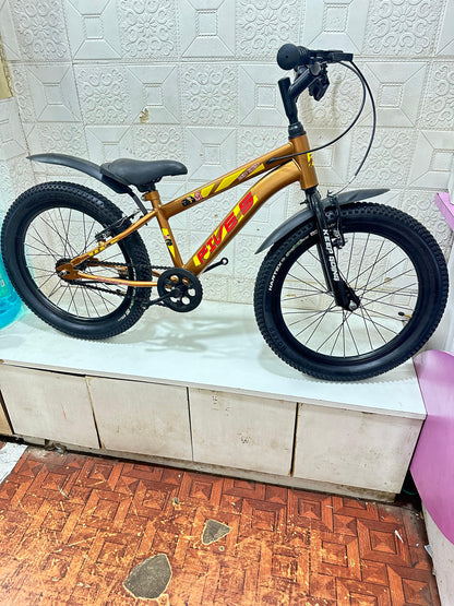 fives red bird 20 inch colour golden