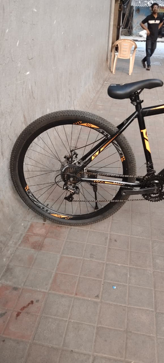 avia cycle 21 gear 29 inch