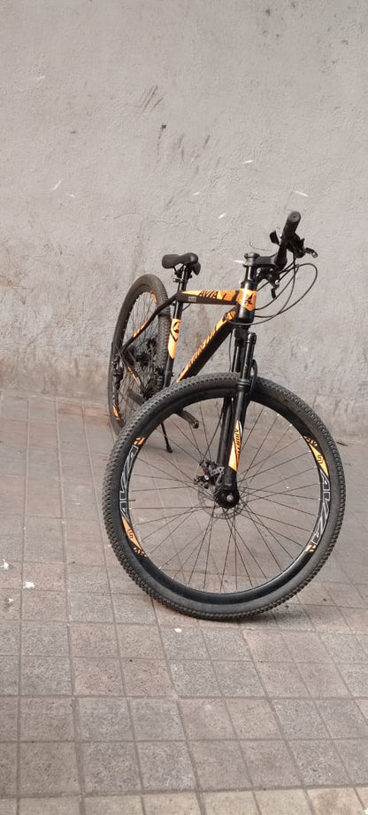 avia cycle 21 gear 29 inch