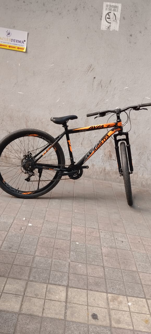 avia cycle 21 gear 29 inch
