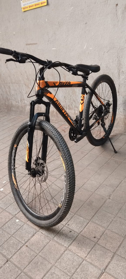 avia cycle 21 gear 29 inch