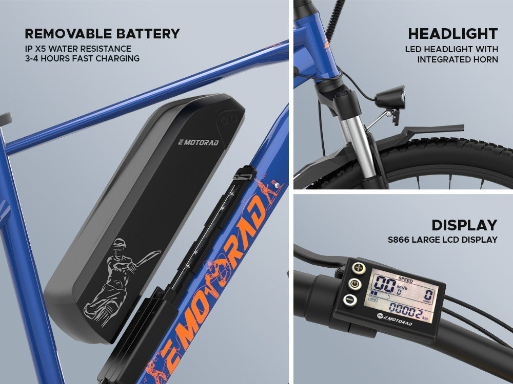 EMotorad Legend 07 MSD Edition 36v Mnstseller