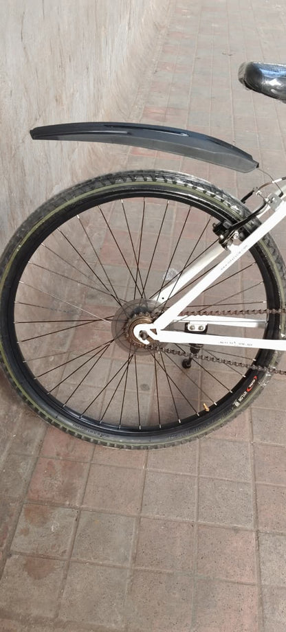 roxy cycle  21  gear 26 inch 5500