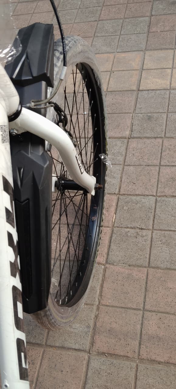 roxy cycle  21  gear 26 inch 5500