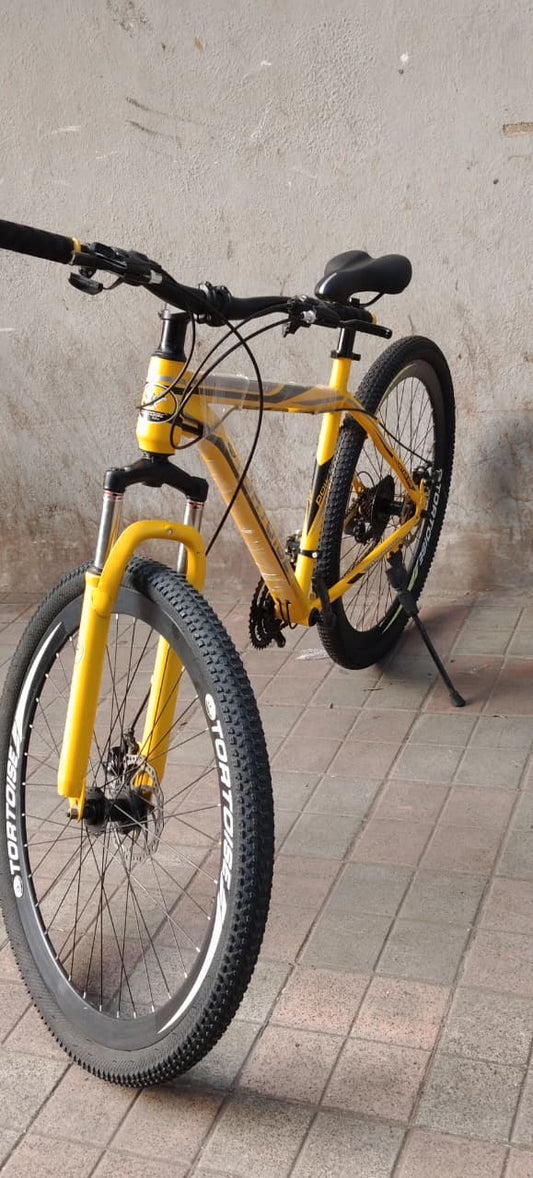 tortoise cycle 21 gear 29 inch